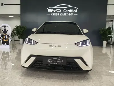 BYD Seagull