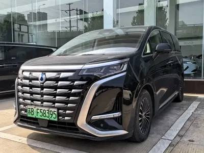 Denza Denza D9