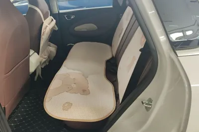 Wuling Bingo