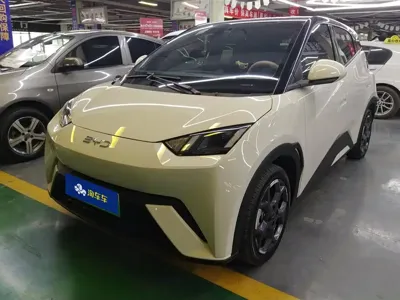 BYD Seagull