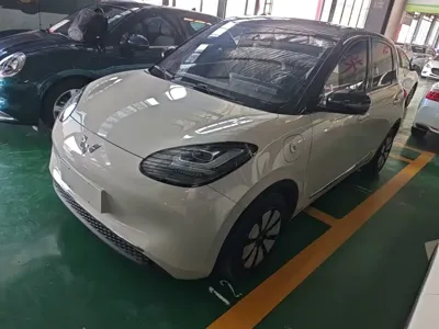 Wuling Bingo