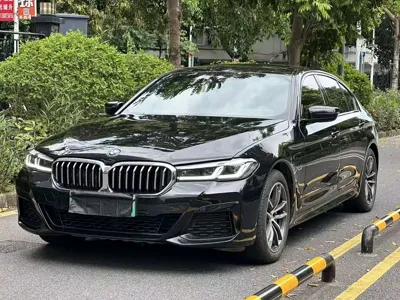 BMW 5 Series New Energy