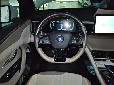 BYD Pro New Energy