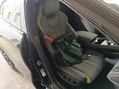 BYD L EV