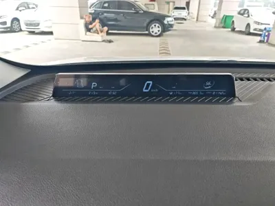 NETA Neta V