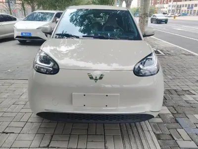 Wuling Bingo