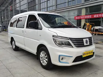 Fengxing Lingzhi New Energy