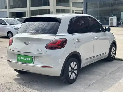 Wuling Bingo