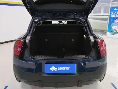 MINI MINI ACEMAN EV