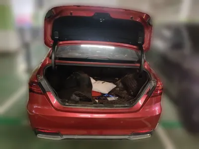 Geely Auto Binray