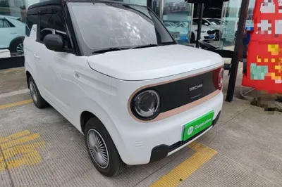 Geely Galaxy Panda