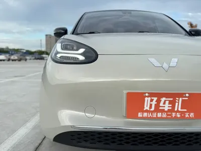Wuling Bingo