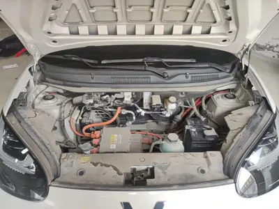 Wuling Bingo