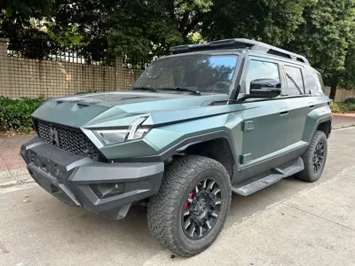Mengshi Mengshi 917