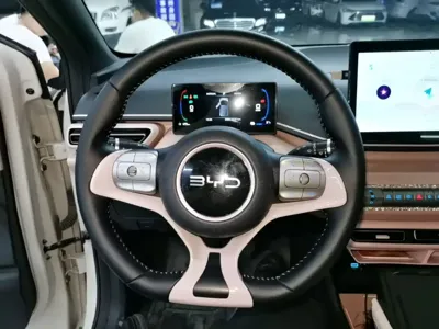 BYD Seagull
