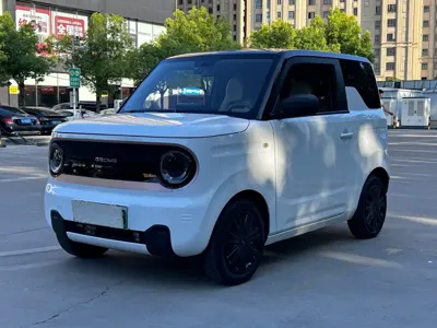 Galaxy Panda