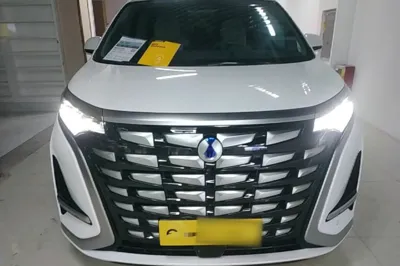 Denza D9