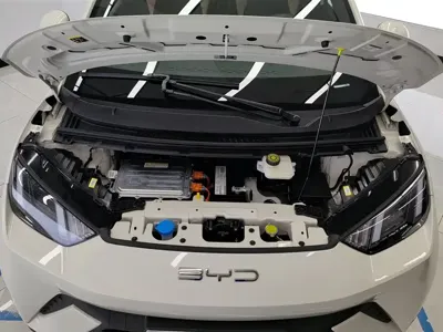 BYD Seagull