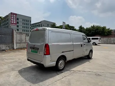 Wuling Wuling EV50