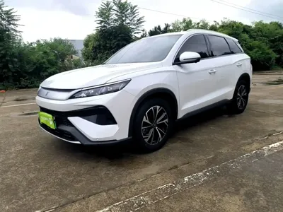 BYD Pro New Energy