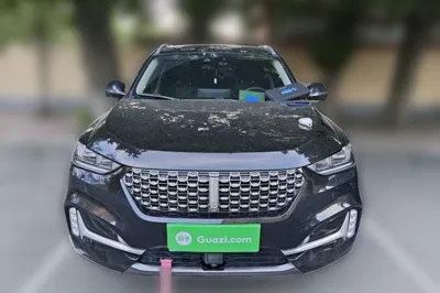 WEY VV6