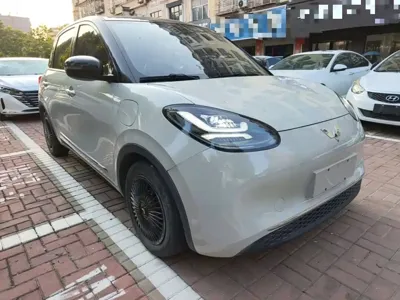 Wuling Bingo