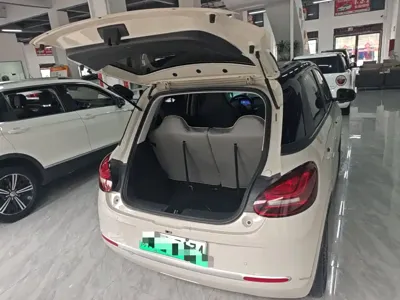 Wuling Bingo