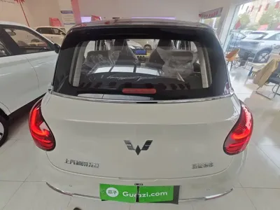 Wuling Bingo