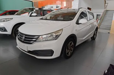 Baojun 310
