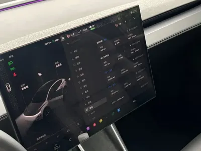 Tesla Model Y L