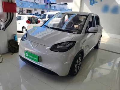 Wuling Bingo
