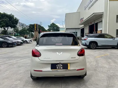 Wuling Bingo