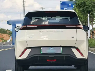 BYD Seagull