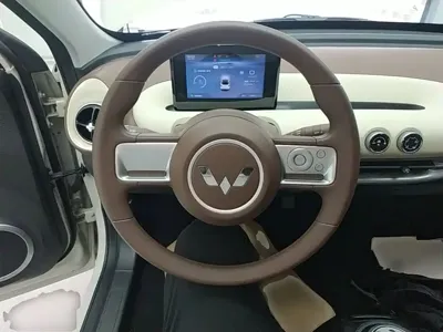 Wuling Bingo