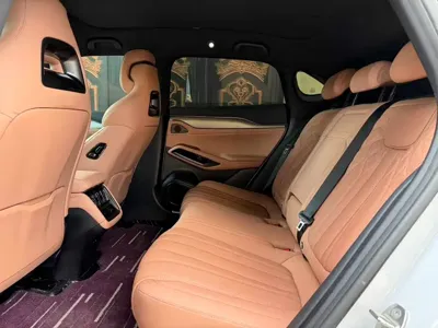 BYD L EV