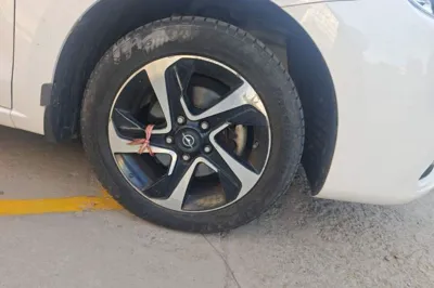 Haima Fumei