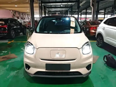 Leapmotor Leapmotor T03