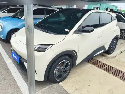 BYD Seagull