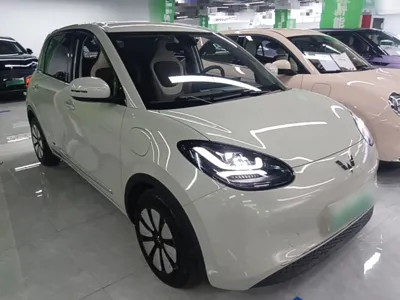 Wuling Bingo
