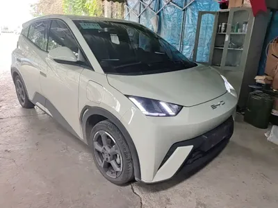 BYD Seagull