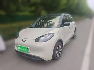 Wuling Bingo