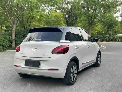 Wuling Bingo