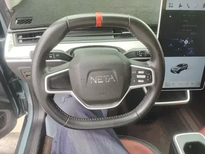 NETA Neta V