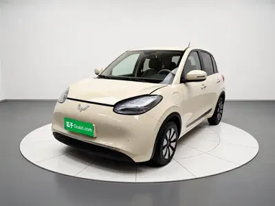 Wuling Bingo