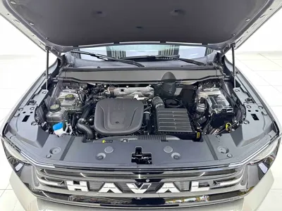 Haval 哈弗大狗 PLUS 新能源