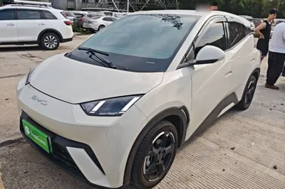 BYD Seagull