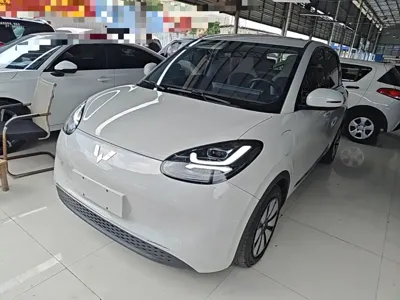 Wuling Bingo