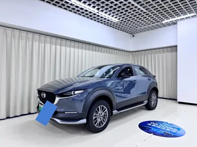 Mazda CX-30 EV