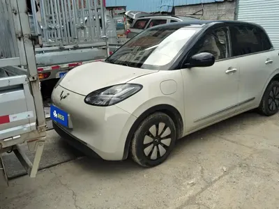 Wuling Bingo
