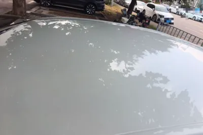 MG 6